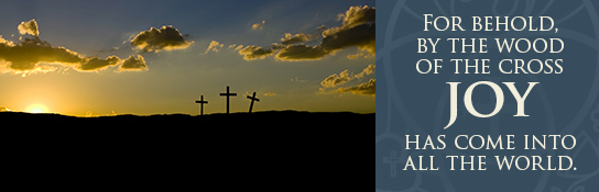 An Easter message from President Matthew Harrison: Through the wood of the cross, joy comes to us this Easter.